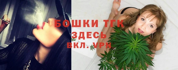 гашик Нея