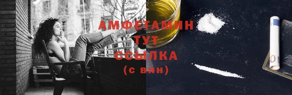 гашик Нея