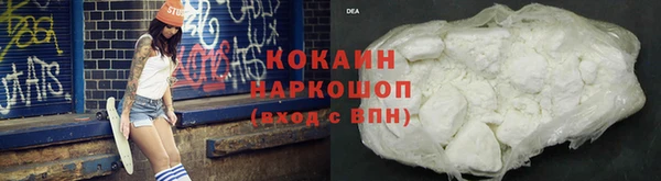 гашик Нея