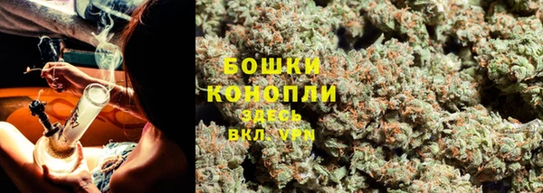 гашик Нея