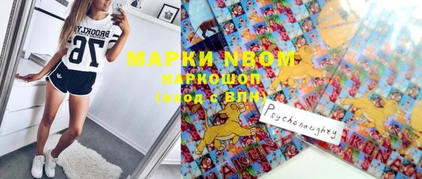 гашик Нея