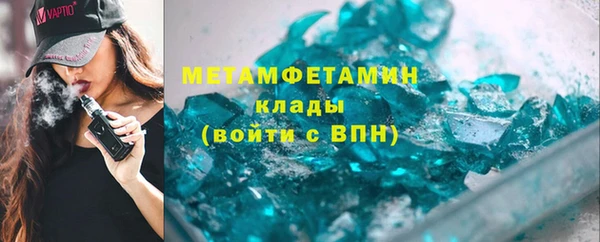 прущие грибы Новозыбков