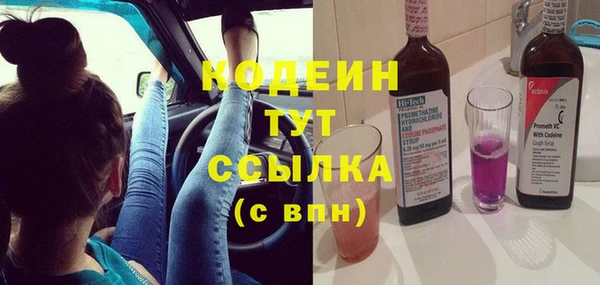 прущие грибы Новозыбков