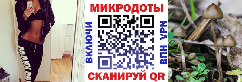 Псилоцибиновые грибы мицелий  Кинель 