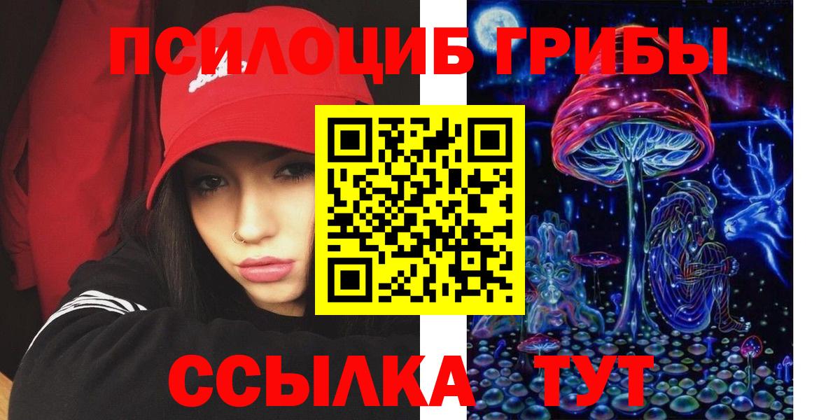Галлюциногенные грибы Psilocybe Кинель