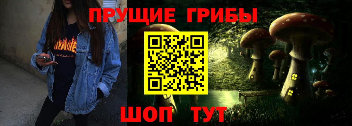 наркотики  Вход с VPN  Кинель  Псилоцибиновые грибы Cubensis  Псилоцибиновые грибы Cubensis 