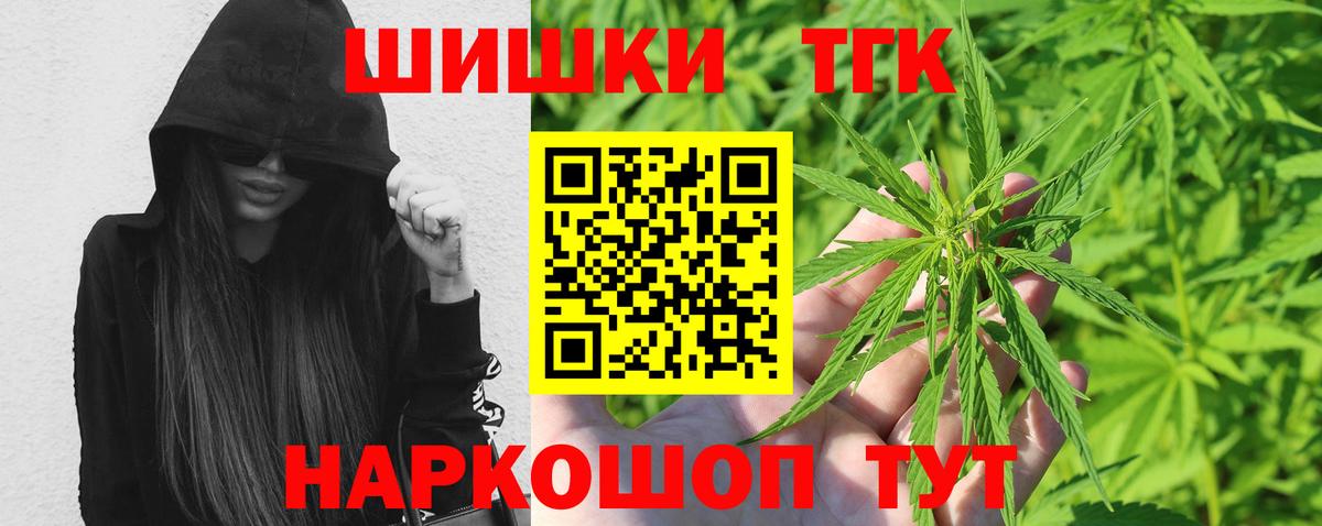 Бошки Шишки планчик Кинель